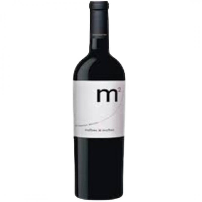 M2 DGO MOLINA MALBEC 2019 X750 VINO