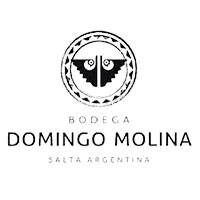 Domingo Molina